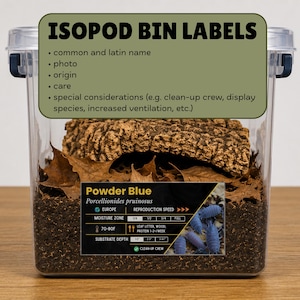 May include: A clear plastic isopod bin with a lid, containing substrate, leaves, and a cork hide. The bin features a label with the text "ISOPOD BIN LABELS" and details for "Powder Blue" isopods, including care instructions and origin.