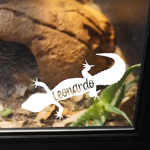 Decalque personalizado de lagartixa leopardo, etiqueta de nome de lagarto personalizada, adesivo de vinil, presente para dono de réptil, decoração de tanque personalizada, decalque de carro para amante de animais de estimação