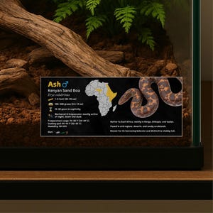 Personalisiertes kenianisches Sandboa-Spartenetikett, benutzerdefinierter Schlangenname, laminiertes Informationsetikett, Reptiliengehäuse, Vivariumdekor