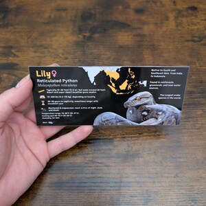 Pode incluir: Um close-up de um cart&atilde;o com uma imagem de uma pit&atilde;o reticulada, uma esp&eacute;cie de cobra nativa do sudeste asi&aacute;tico. O cart&atilde;o inclui informa&ccedil;&otilde;es sobre o tamanho, a vida &uacute;til e o habitat da cobra. O texto no cart&atilde;o diz "Lily Pit&atilde;o Reticulada Malayopython reticulatus".
