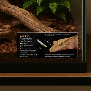 Personalisierte Gecko-Spezies Label, kundenspezifischer Name laminierte Eidechse Information Tag, Reptilien Gehäuse Aufkleber, Vivarium Decor