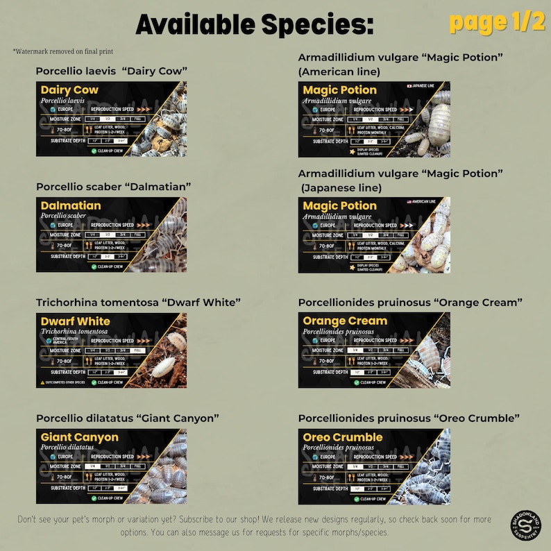 Isopods Species Label - Laminated Care Tag & Bin Enclosure Decor - Etsy