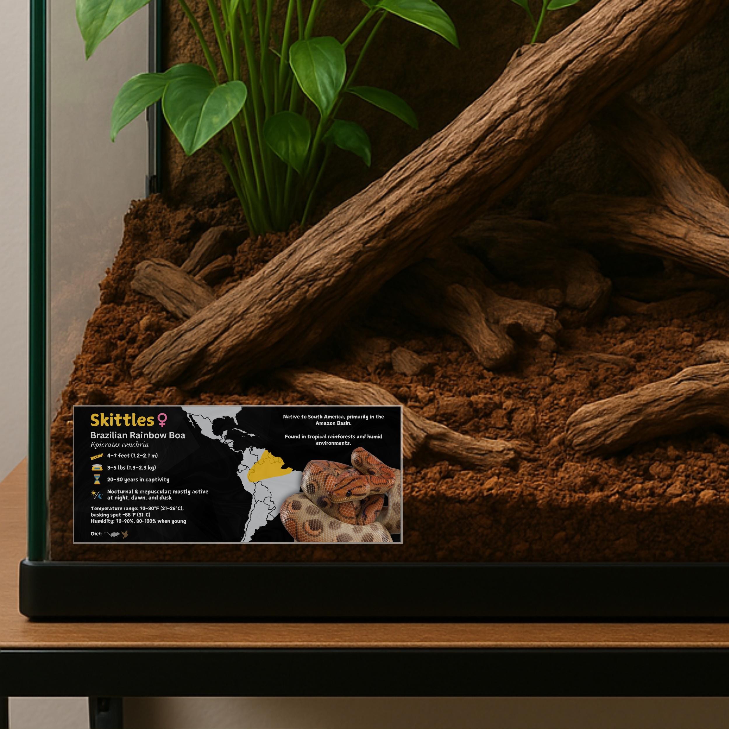 Personalized Brazilian Rainbow Boa Enclosure Label: Laminated Vivarium ...