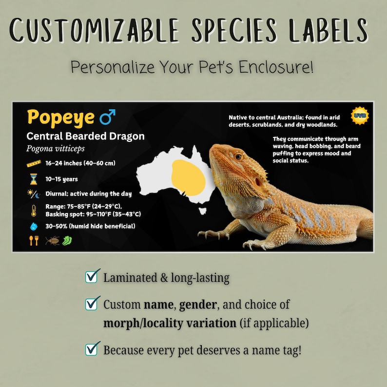 Etiqueta personalizada para terrario de dragón barbudo: Decoración laminada con información para terrario. imagen 2