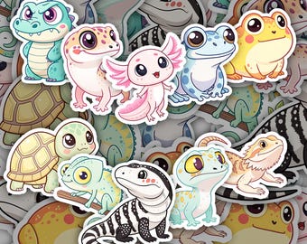 Pegatinas de reptiles y anfibios: juego de vinilos impermeables