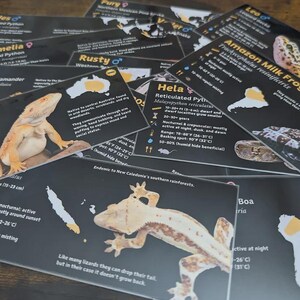 Etiqueta personalizada para terrario de dragón barbudo: Decoración laminada con información para terrario. imagen 9