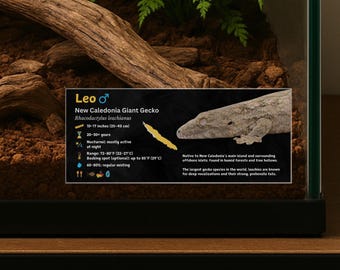Gepersonaliseerde Leachianus Gecko-behuizingslabel: gelamineerd vivarium-informatiedecor