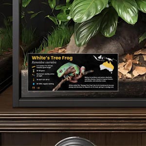 Artetikett för Whites trädgroda - Laminerad informationsetikett för amfibier, klistermärke för inhägnad, dekoration för terrarium, skylt för reptilhabitat, tillbehör till djurakvarium