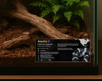 Personalized California Kingsnake Enclosure Label: Laminated Vivarium Information Decor