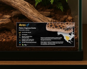 Personalisierte Ebenen Hognose Schlange Gehäuse Label: Laminiertes Vivarium Information Decor