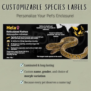 Pode incluir: Um r&oacute;tulo de esp&eacute;cie personaliz&aacute;vel para uma Pit&atilde;o-reticulada, tamb&eacute;m conhecida como Malayopython reticulatus. O r&oacute;tulo &eacute; laminado e apresenta um nome personalizado, g&ecirc;nero e varia&ccedil;&atilde;o de morph. O r&oacute;tulo &eacute; projetado para personalizar o recinto de um animal de estima&ccedil;&atilde;o. O r&oacute;tulo inclui informa&ccedil;&otilde;es sobre a esp&eacute;cie, incluindo sua &aacute;rea de distribui&ccedil;&atilde;o nativa, habitat, tamanho e dura&ccedil;&atilde;o de vida. O r&oacute;tulo tamb&eacute;m inclui um s&iacute;mbolo feminino e o texto "Hela".