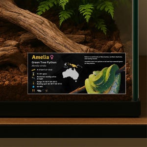 Personalized Green Tree Python Enclosure Label: Laminated Vivarium Information Decor