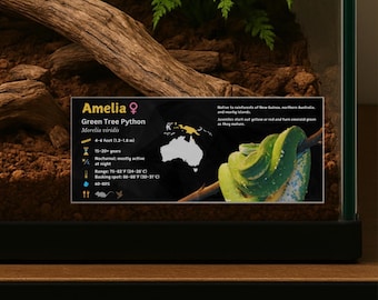 Personalized Green Tree Python Enclosure Label: Laminated Vivarium Information Decor