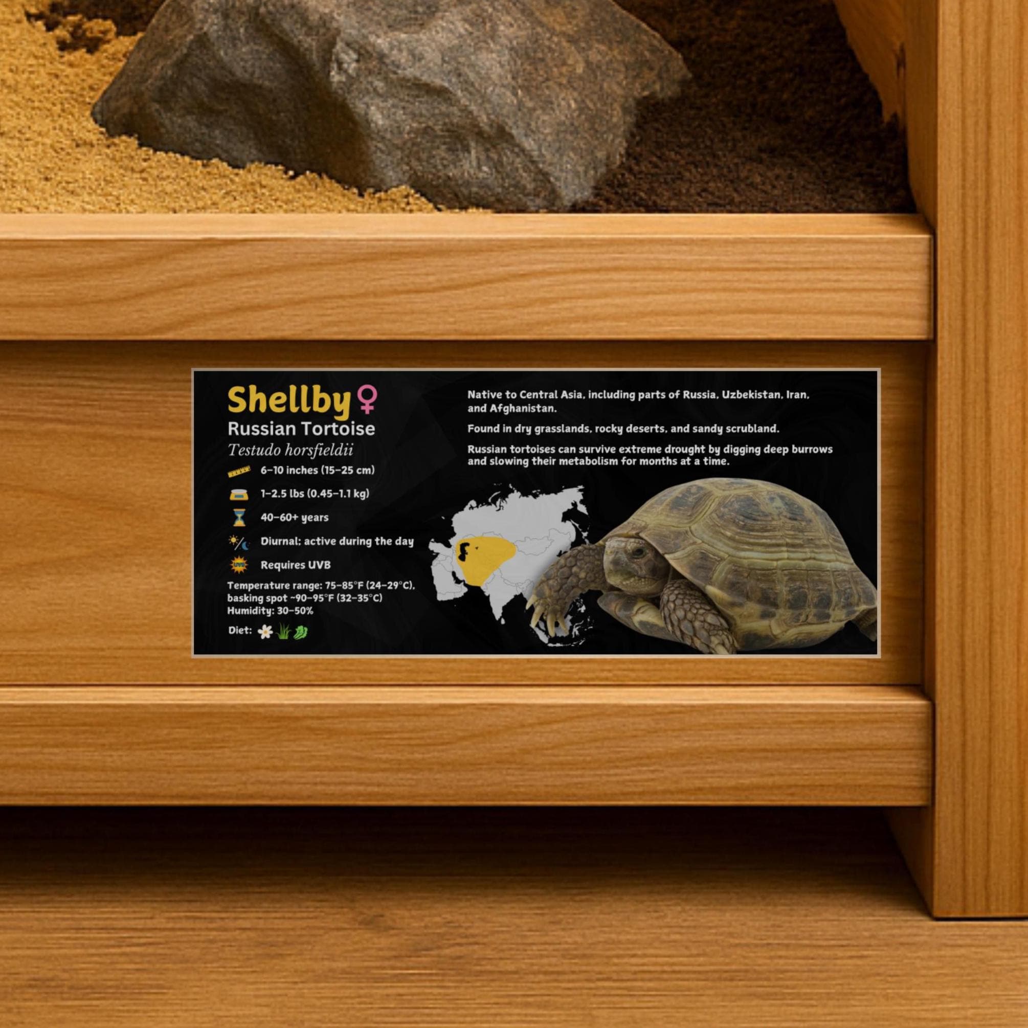 Russian Tortoise Enclosure Plastic Tub For Tortoise Small Fish