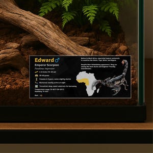 Personalized Emperor Scorpion Species Label, Custom Name Laminated Information for Enclosure, Vivarium, Invertebrate Decor