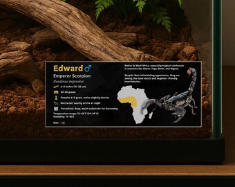 Personalized Emperor Scorpion Species Label, Custom Name Laminated Information for Enclosure, Vivarium, Invertebrate Decor