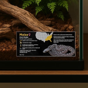 Personalisiertes Etikett für Kornnatterarten, benutzerdefinierter Name laminierte Reptilieninformationen für Gehege, Vivarium, Terrarium, Geschenk für Reptilienliebhaber