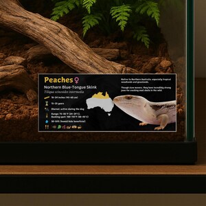 Personalized Blue-Tongue Skink Enclosure Label: Laminated Vivarium Information Decor