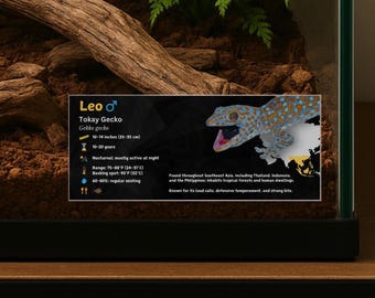 May include: A terrarium with a Tokay gecko, a species of gecko. The image includes a sign with information about the gecko, including its size (10-14 inches), lifespan, and habitat. The gecko has blue and orange spots.