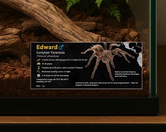 Personalized Curlyhair Tarantula Enclosure Label: Laminated Vivarium Information Decor