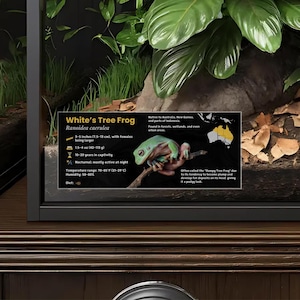 Étiquette blanche sur l'espèce de rainette - étiquette d'information plastifiée sur les amphibiens, autocollant pour boîtier et décoration de vivarium