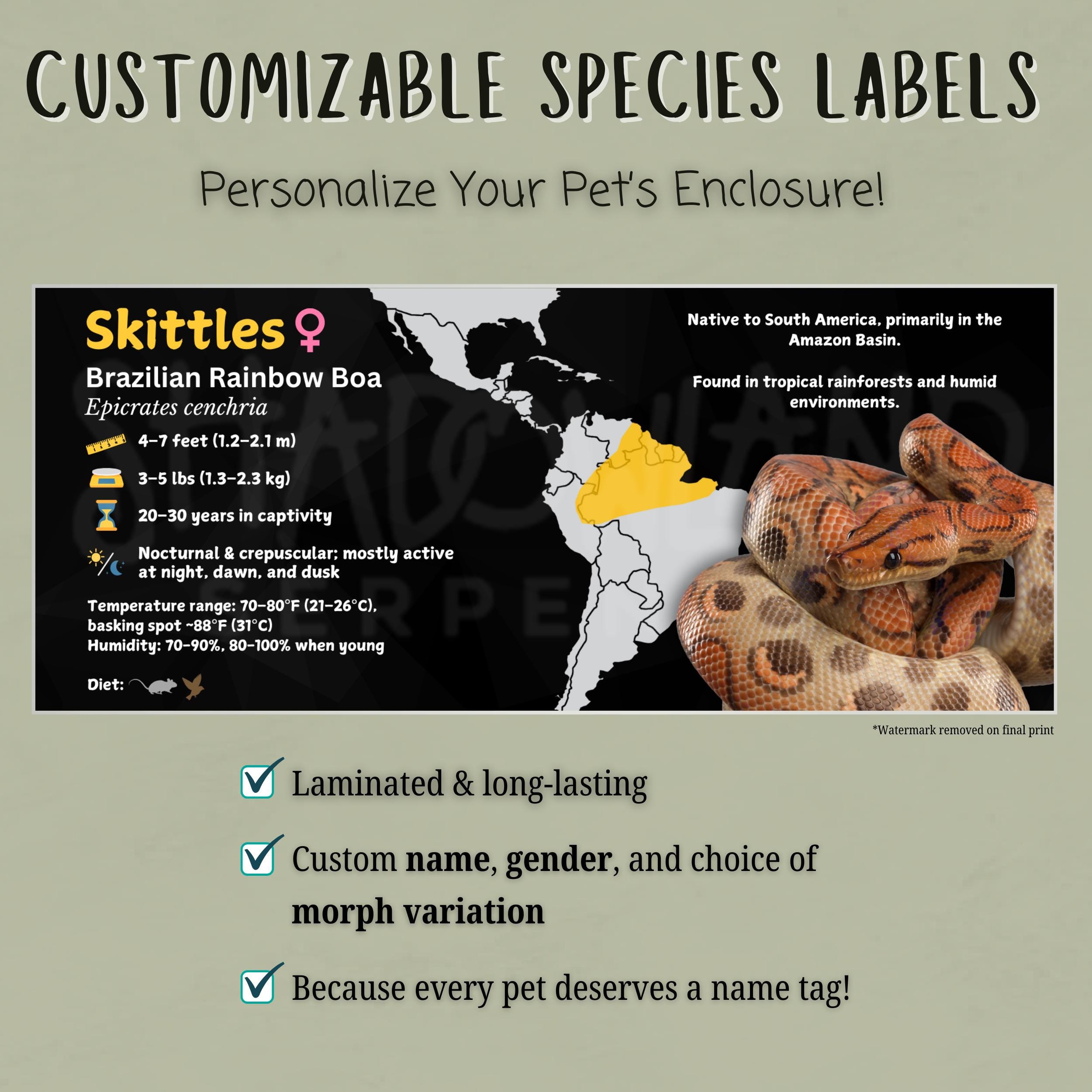 Personalized Brazilian Rainbow Boa Enclosure Label: Laminated Vivarium ...
