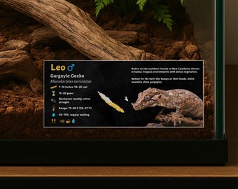 Personalized Gargoyle Gecko Enclosure Label: Laminated Vivarium Information Decor
