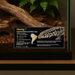 Personalisiertes Teju Eidechsen Gehäuse Label: Laminiertes Vivarium Information Decor