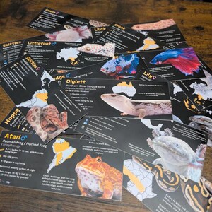 Pode incluir: Um conjunto de cart&otilde;es com diferentes animais, cada um com um nome, um s&iacute;mbolo de g&ecirc;nero e informa&ccedil;&otilde;es sobre seu habitat nativo, tamanho e cuidados. Os cart&otilde;es s&atilde;o impressos em fundos pretos com acentos amarelos e apresentam ilustra&ccedil;&otilde;es coloridas dos animais.