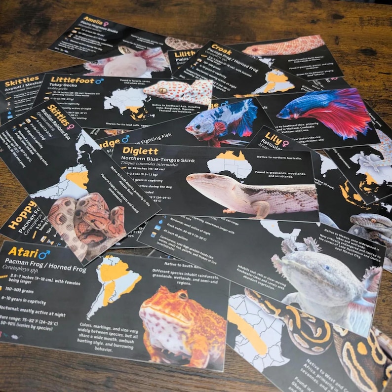 Pode incluir: Um conjunto de cart&otilde;es com diferentes animais, cada um com um nome, um s&iacute;mbolo de g&ecirc;nero e informa&ccedil;&otilde;es sobre seu habitat nativo, tamanho e cuidados. Os cart&otilde;es s&atilde;o impressos em fundos pretos com acentos amarelos e apresentam ilustra&ccedil;&otilde;es coloridas dos animais.