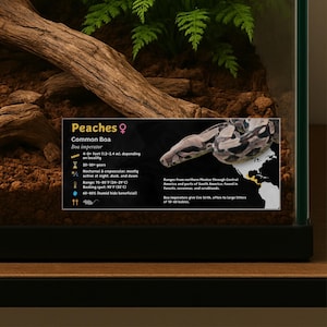 パーソナライズされたボア・インペラトールエンクロージャーラベル：ラミネート加工されたビバリウム情報装飾