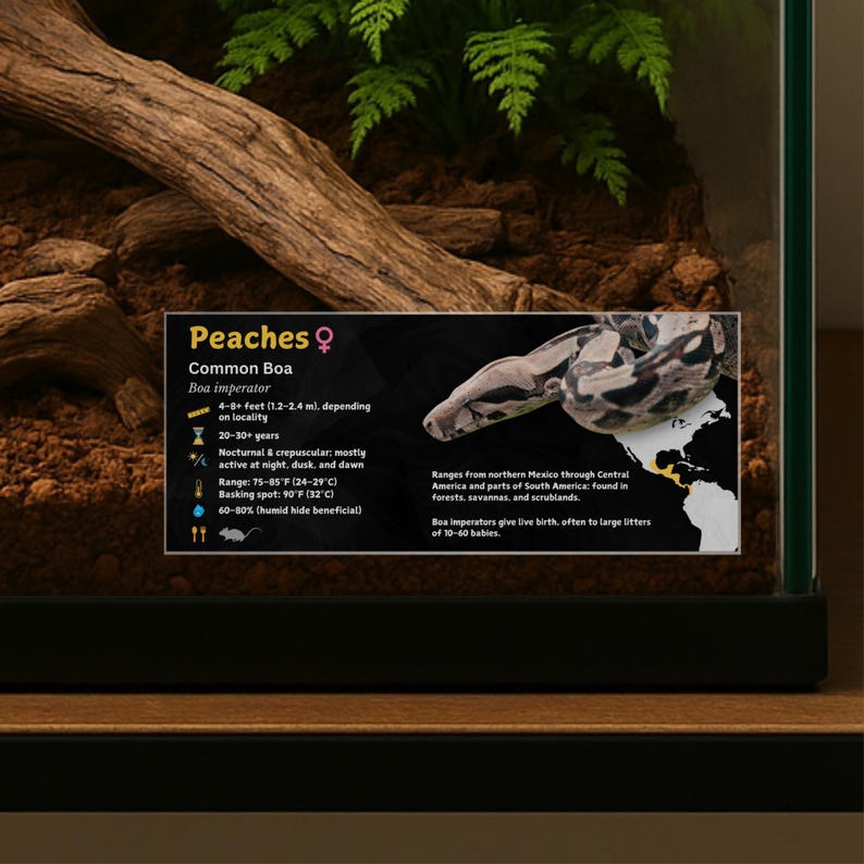 Personalized Boa Imperator Enclosure Label: Laminated Vivarium ...