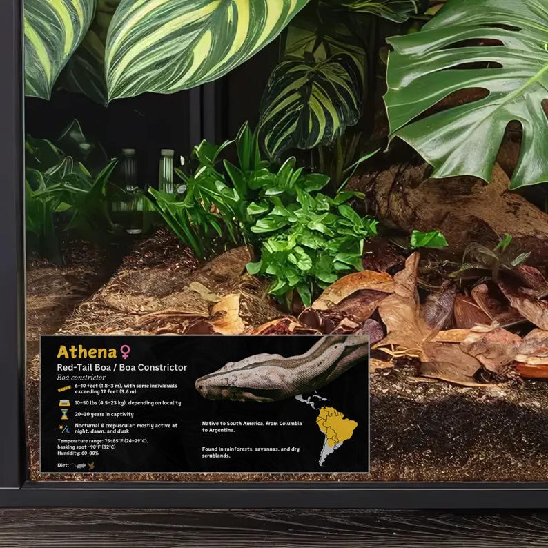 Personalized Boa Constrictor Species Enclosure Label: Laminated ...