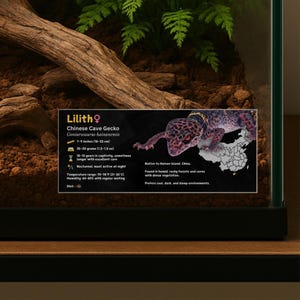 Personalized Chinese Cave Gecko Enclosure Label: Laminated Vivarium Information Decor