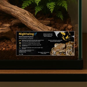 May include: A close-up of a Reticulated Python, also known as the Malayopython reticulatus, in a terrarium. The snake is light brown with black and yellow markings. The image includes text about the snake's habitat, size, and care.