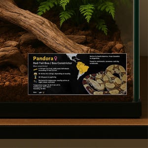 Personalisiertes Boa Contrictor Species Label, Benutzerdefinierter Schlangenname, Laminierter Information Tag, Reptilien Gehäuse, Vivarium Decor
