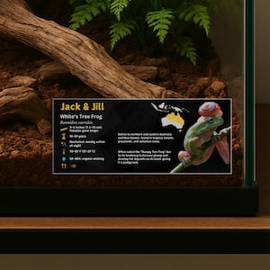 Puede incluir: Una pegatina informativa rectangular para un terrario de rana arborícola de White con el texto Jack & Jill, Ranoidea caerulea, un mapa de Australia e iconos de cuidados. Muestra una rana verde sobre una rama con una concha de caracol.