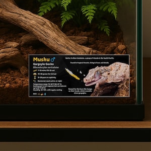 Gepersonaliseerde Gargoyle Gecko-soortlabel, aangepaste hagedisnaam, gelamineerd informatielabel, reptielenbehuizing, vivariumdecor