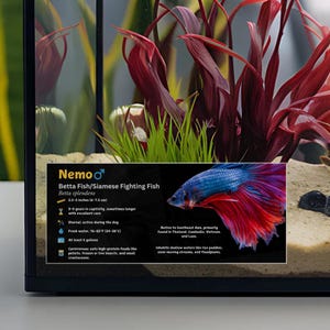 Personalisierte Betta Fischarten Etikett, benutzerdefinierter Name laminierter Information Tag für Tank, Aquarium Dekor