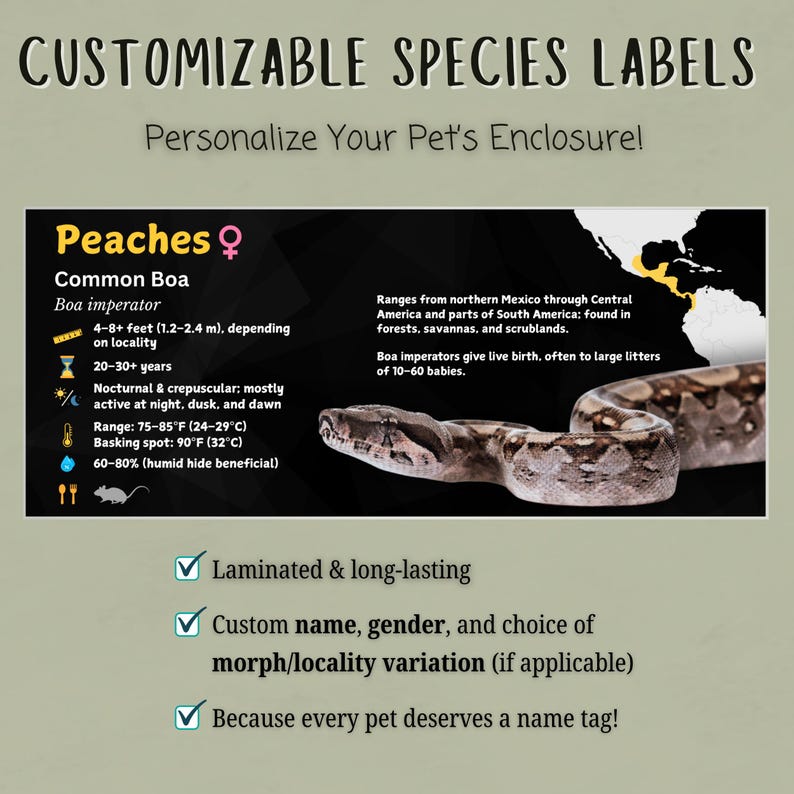 Personalized Boa Imperator Enclosure Label: Laminated Vivarium ...