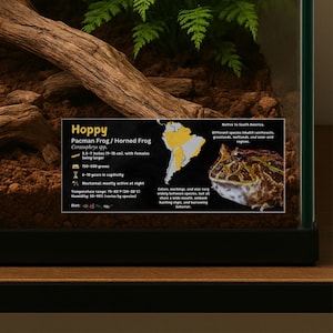 Etiqueta personalizada de espécies de sapo Pacman, etiqueta de informações de anfíbios laminada com nome personalizado, adesivo de gabinete, decoração de vivário