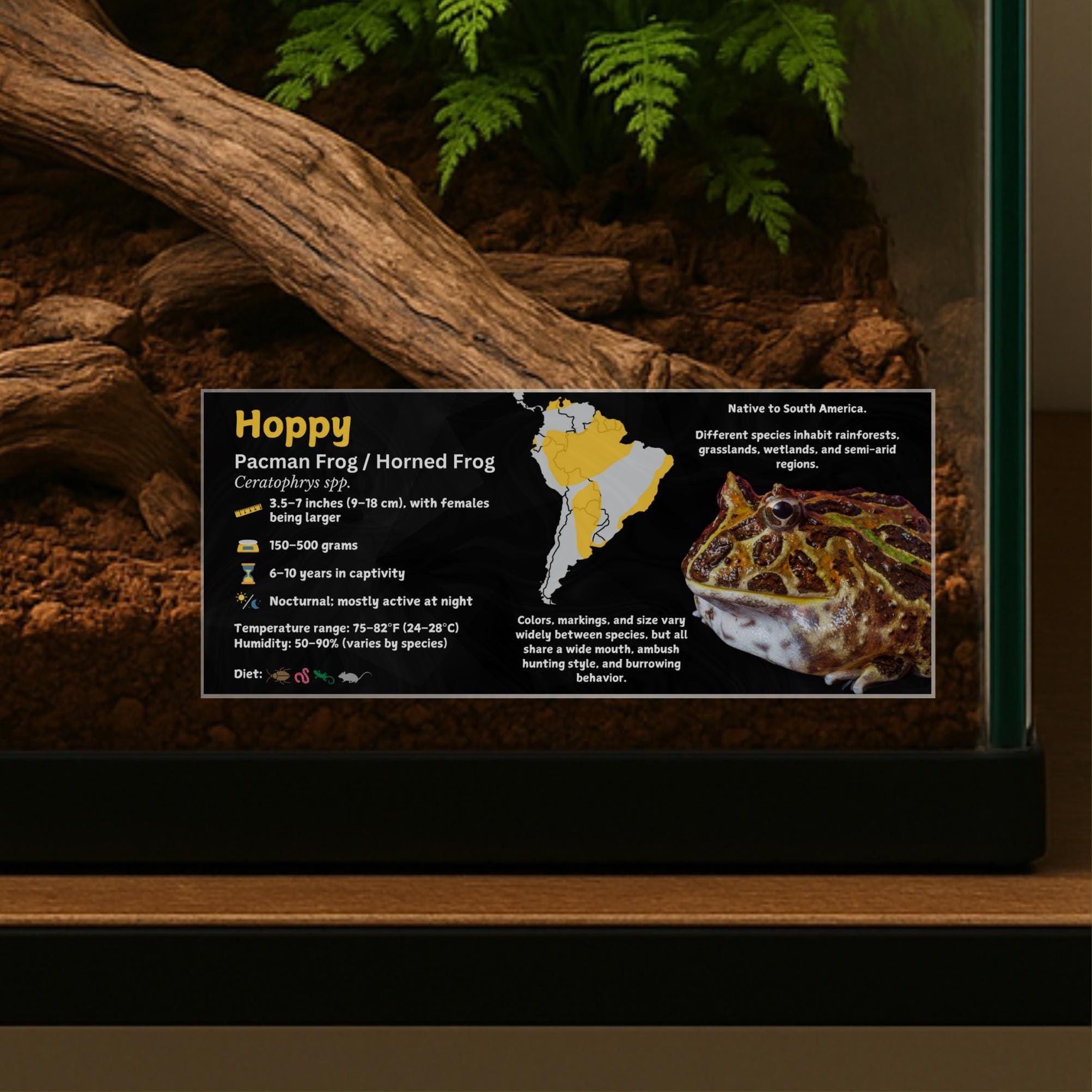 Personalized Pacman Frog Enclosure Label: Laminated Vivarium Information Decor