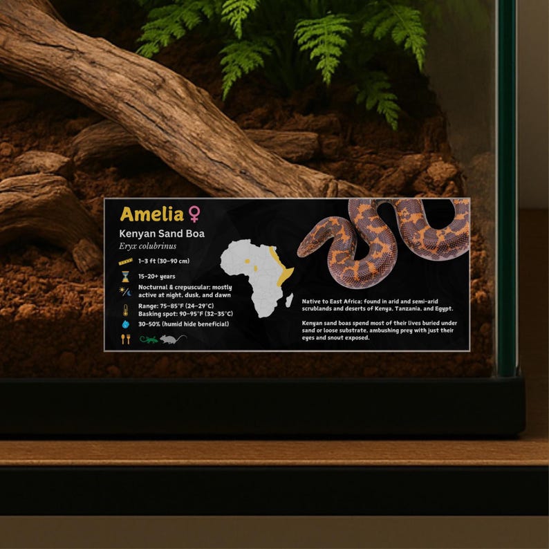 Personalized Kenyan Sand Boa Enclosure Label: Laminated Vivarium ...