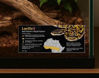 Etichetta personalizzata per specie di pitone palla, informazioni laminate con nome personalizzato per recinti, vivarium, terrario, regalo per amanti dei rettili