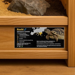 Etiqueta personalizada de la especie de tortuga de Hermann, laminada con nombre personalizado e información sobre la tortuga para recintos, viveros, terrarios y decoración de reptiles.