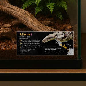 Personalized Boa Imperator Species Label, Custom Snake Name, Laminated Information Tag, Reptile Enclosure, Vivarium Decor