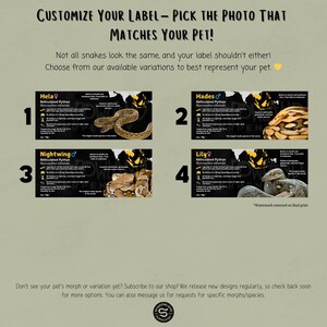 Pode incluir: Quatro designs de etiquetas diferentes para uma pit&atilde;o reticulada. Cada design apresenta um morph de cor diferente da cobra, com o nome e o sexo da cobra etiquetados em cada design. Os designs s&atilde;o numerados de 1 a 4.