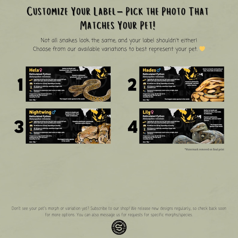 Pode incluir: Quatro designs de etiquetas diferentes para uma pit&atilde;o reticulada. Cada design apresenta um morph de cor diferente da cobra, com o nome e o sexo da cobra etiquetados em cada design. Os designs s&atilde;o numerados de 1 a 4.