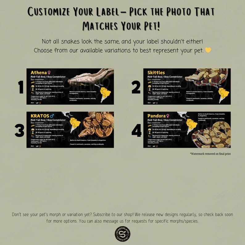 Personalized Boa Constrictor Species Enclosure Label: Laminated ...