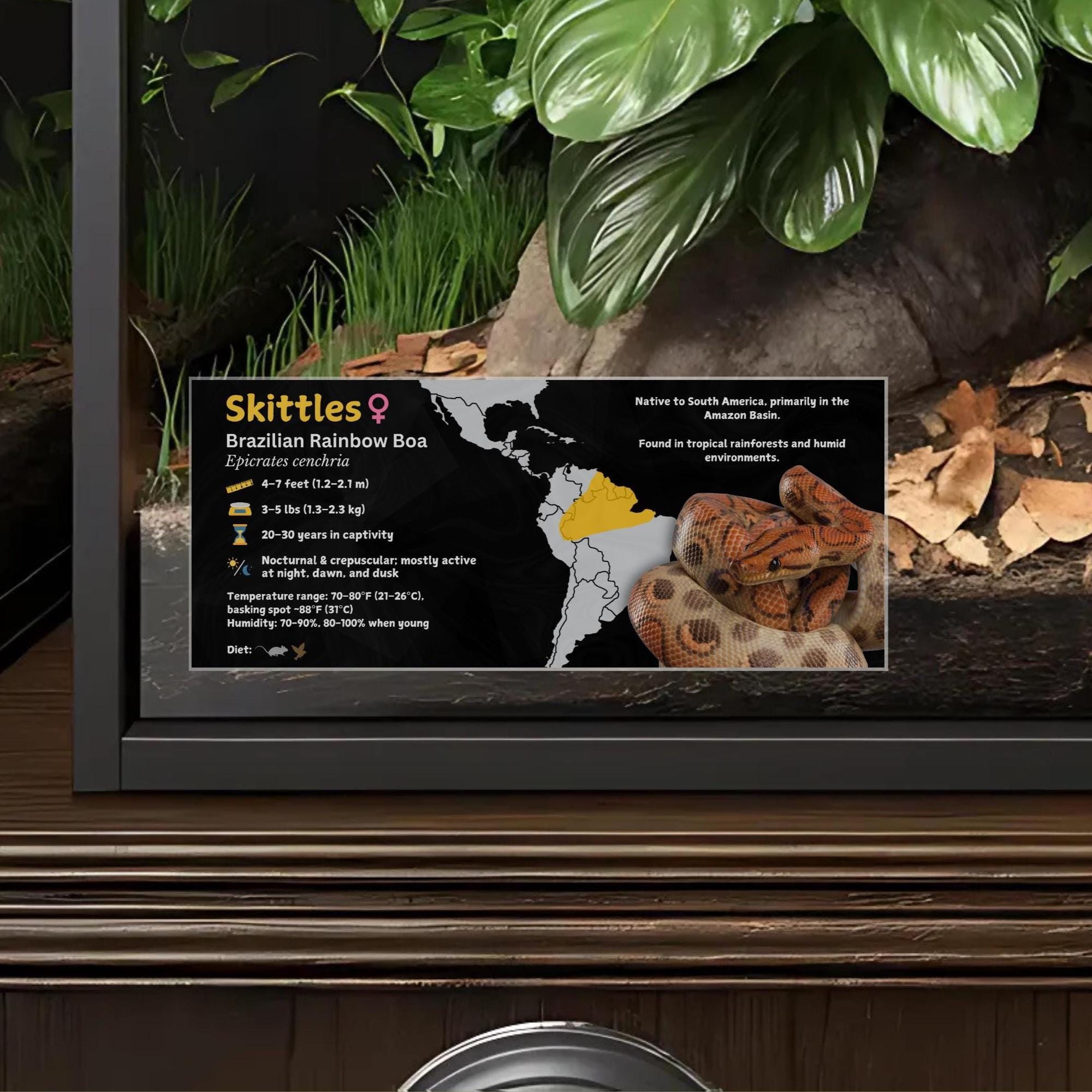 Personalized Brazilian Rainbow Boa Enclosure Label: Laminated Vivarium ...